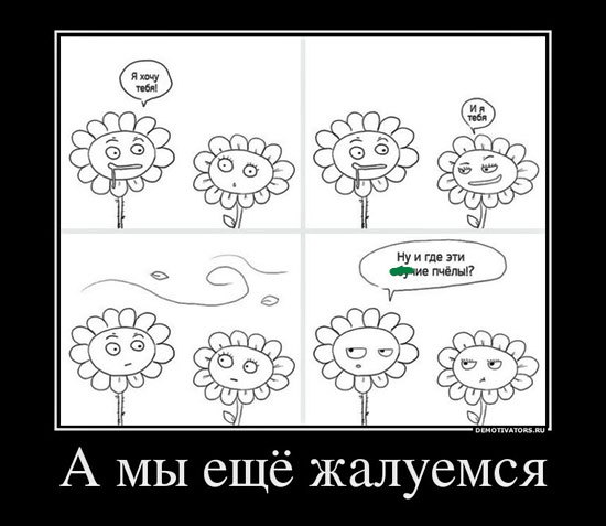 c5b1ace9f61c4172660f085de2fd5765.jpg.jpeg