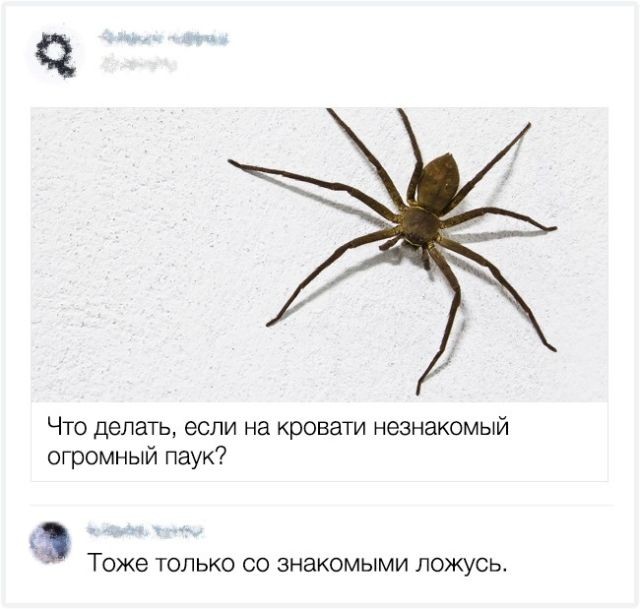 ca5394.jpg.jpeg