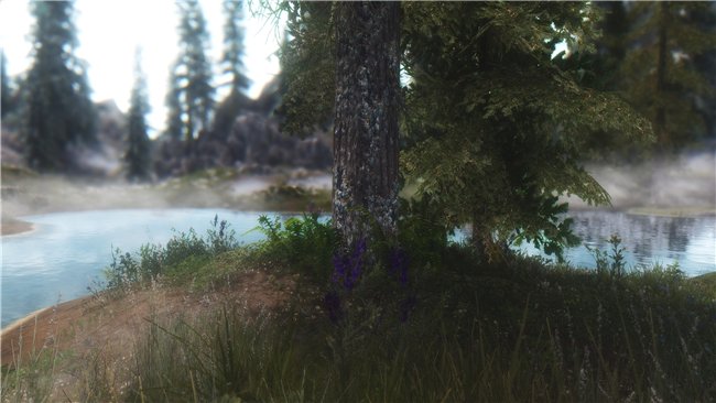 ca9194b35fc4t.jpg.jpeg