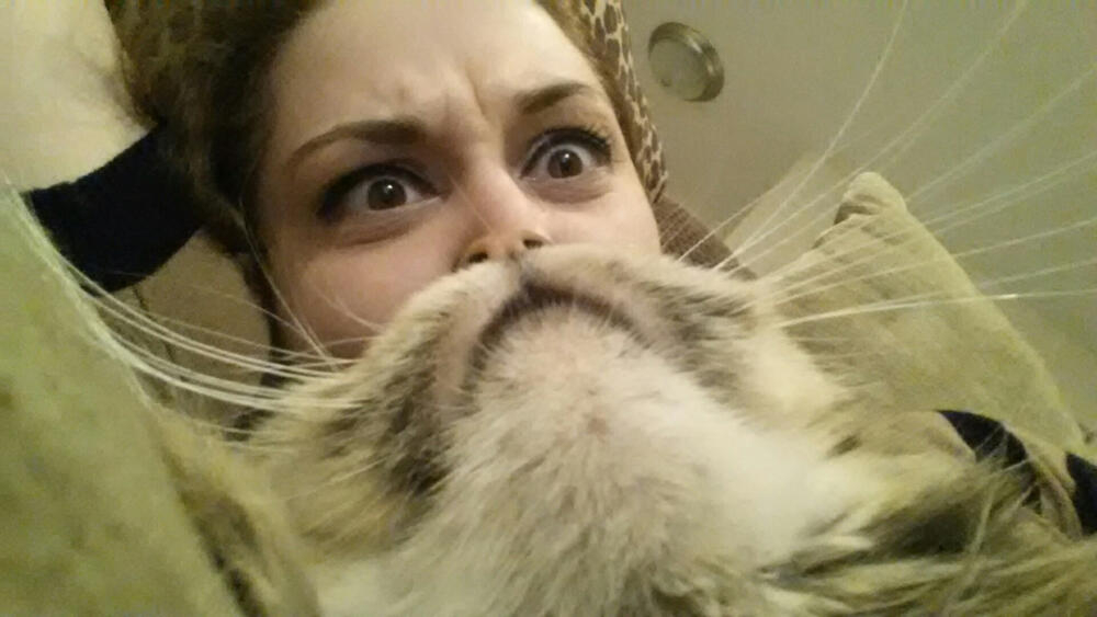 cat-beard-big.jpg.jpeg