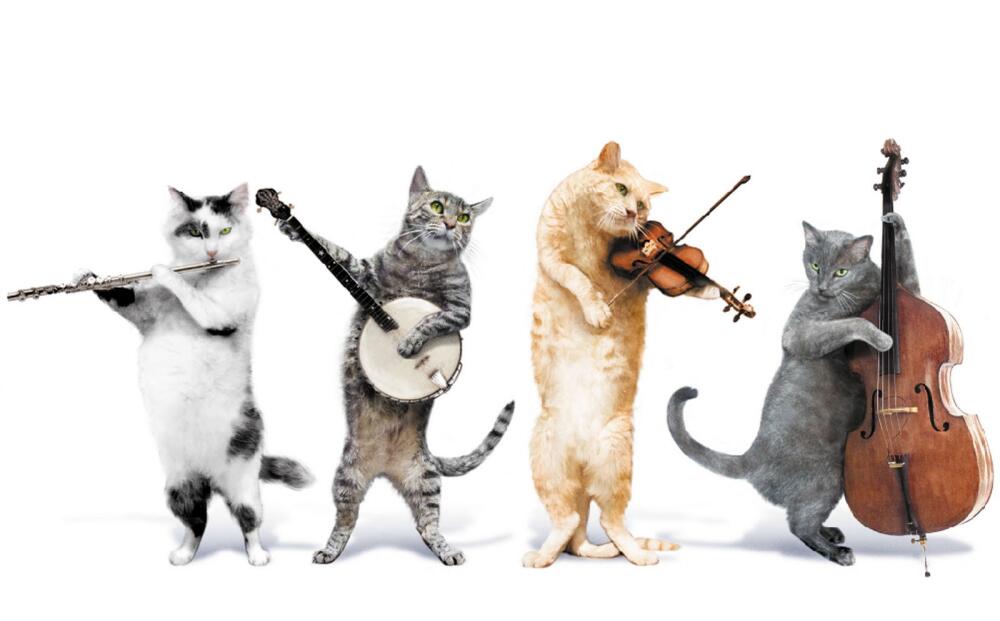 cats music.jpg.jpeg