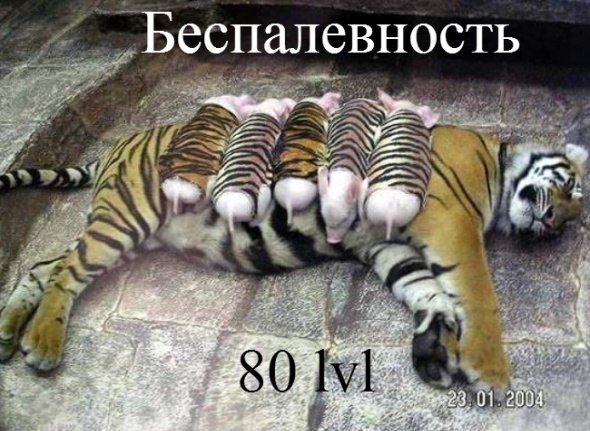 CbKm5pkW4AA8vmV.jpg.jpeg