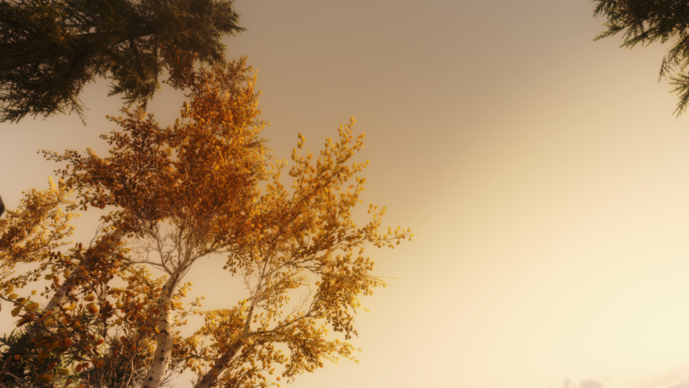 cd1a89936b2e.png.webp.png