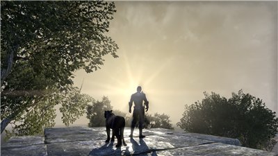 d3590b3140e8t.jpg.jpeg