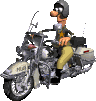d3d8629ffa9308eaa49cb3376990540e.gif