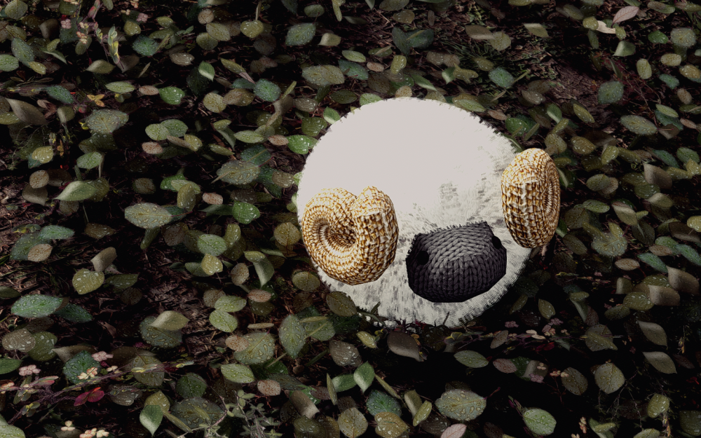 d6ae249a414d.png.png