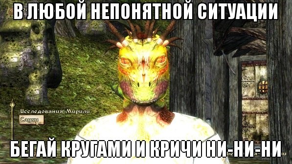 d791f91fe470.jpg.jpeg