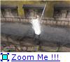 d7ac4cea1089t.jpg.jpeg