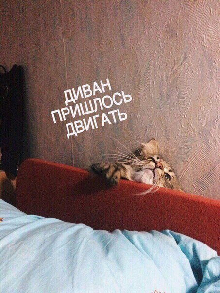 DaKk1afW0AE_ddO.jpg.jpeg