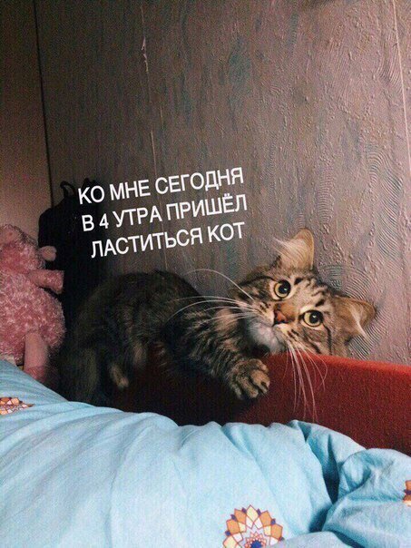 DaKkvKAWsAAOAys.jpg.jpeg