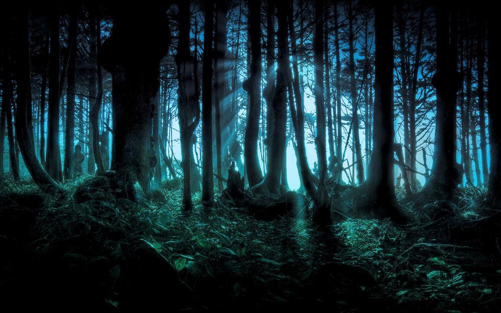 dark-forest.jpg.jpeg