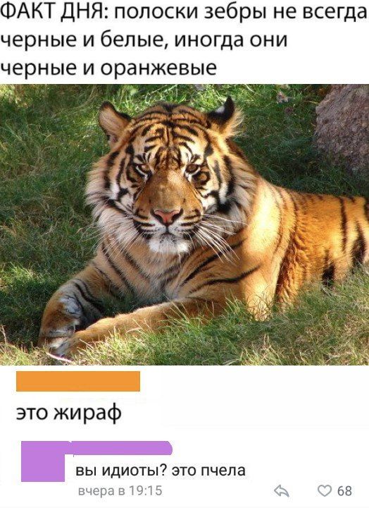 DaU8J1ZVAAEZhfj.jpg.jpeg