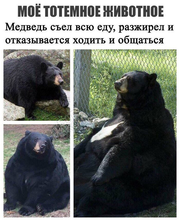 DaVvDQUX0AAoilv.jpg.jpeg