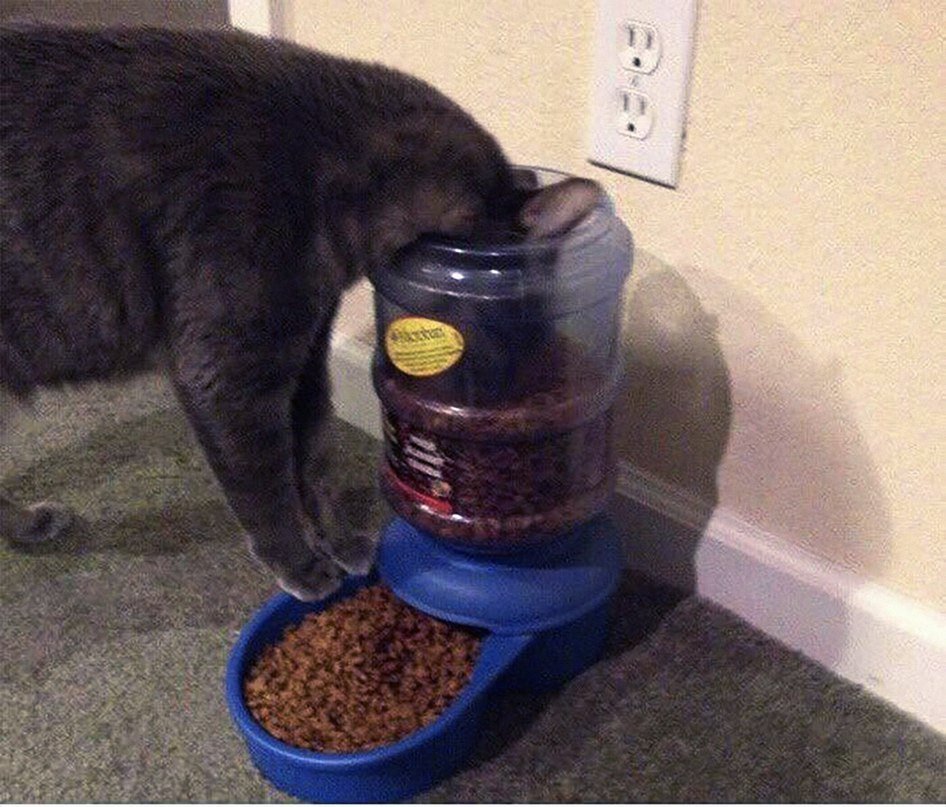 DbtGvlJVwAAE0Kg.jpg.jpeg