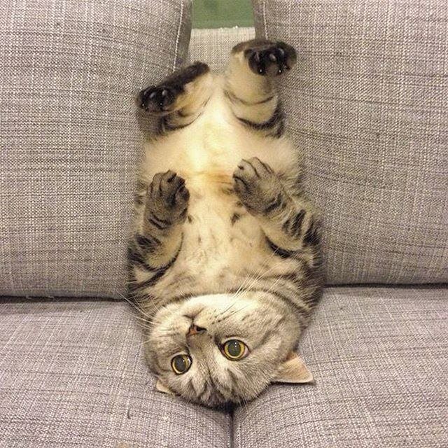 DbuNV-RUQAA_Fiv.jpg.jpeg
