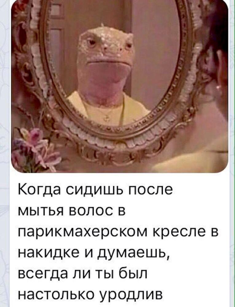 Dc0L-jvWAAAUd43.jpg.jpeg