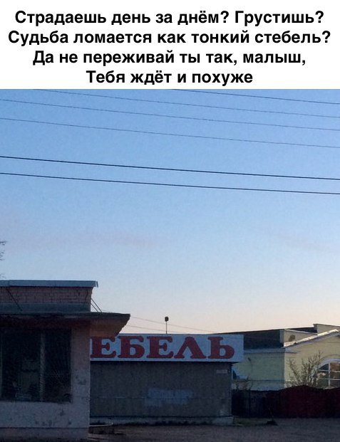 Dc5wKiyXUAIYFd_.jpg.jpeg