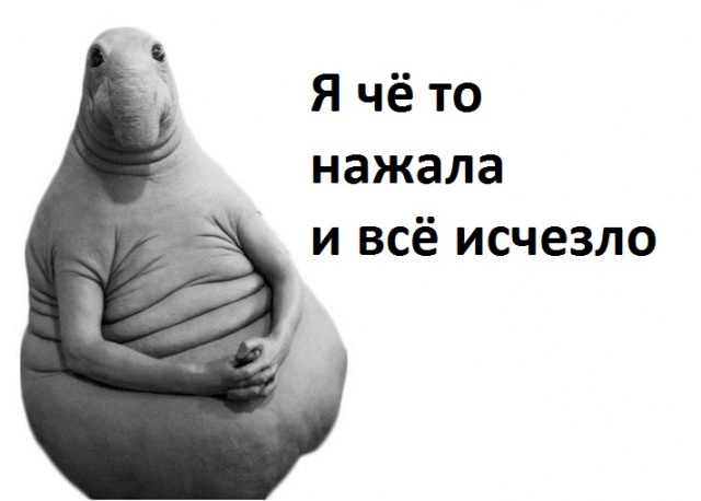 dda1a6752cf789b37c7d7632af81dbc2.jpg.jpeg