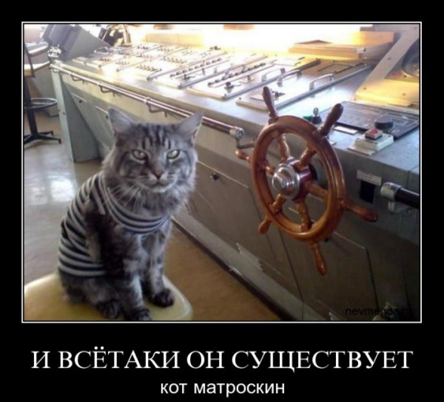 deb45d333d0414ba3de42155789fdb4a_XL.jpg.jpeg