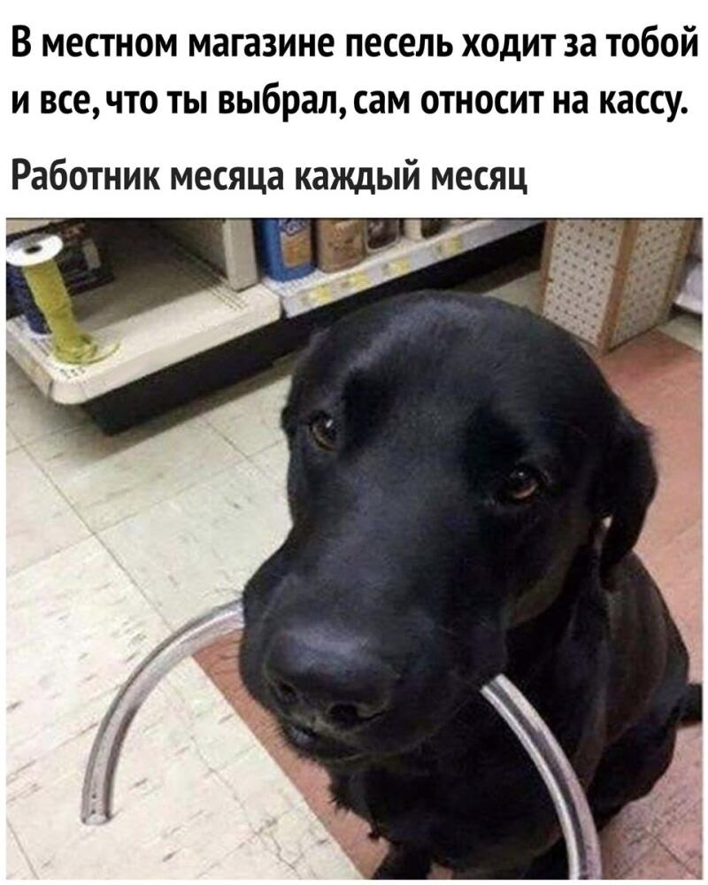 DeCWnuyW4AErn_9.jpg.jpeg