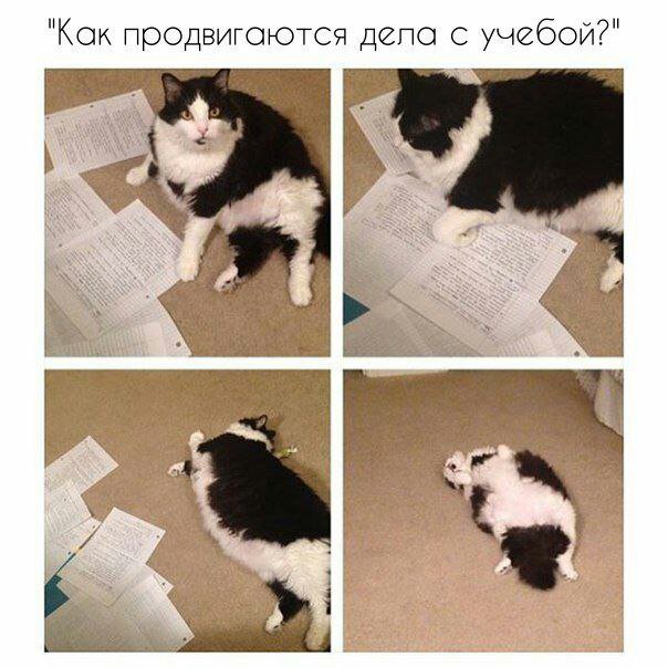 DeDk0sCXUAchDt4.jpg.jpeg