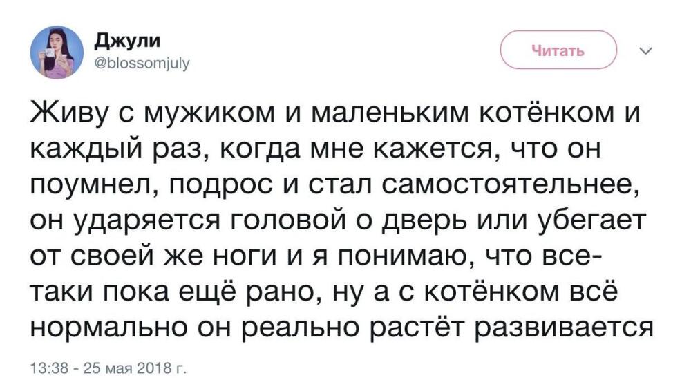 DeINXpAVAAUFNZ_.jpg.jpeg
