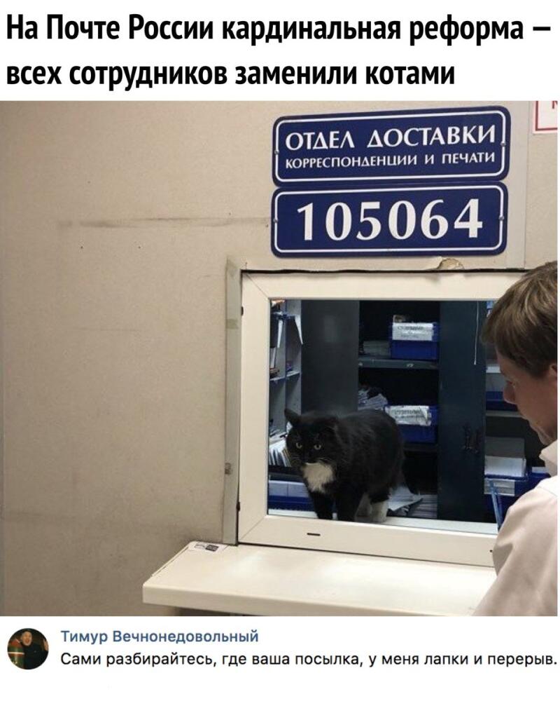 DenmVlgX0AAtWxp.jpg.jpeg