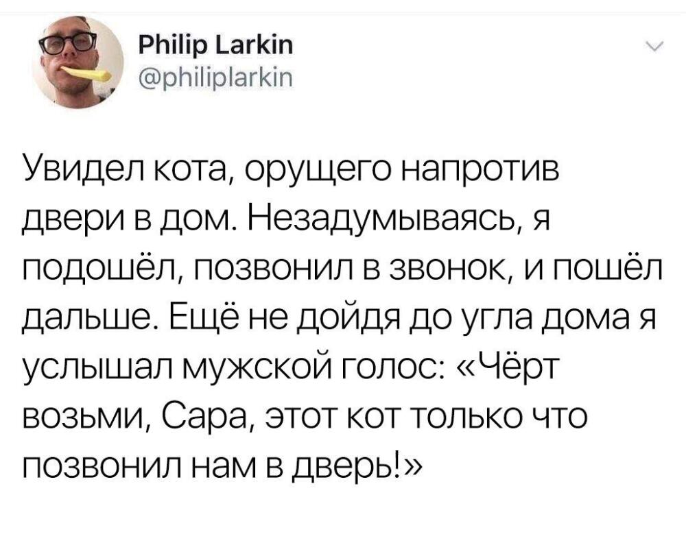 DeTKTMiWkAAX-kP.jpg.jpeg