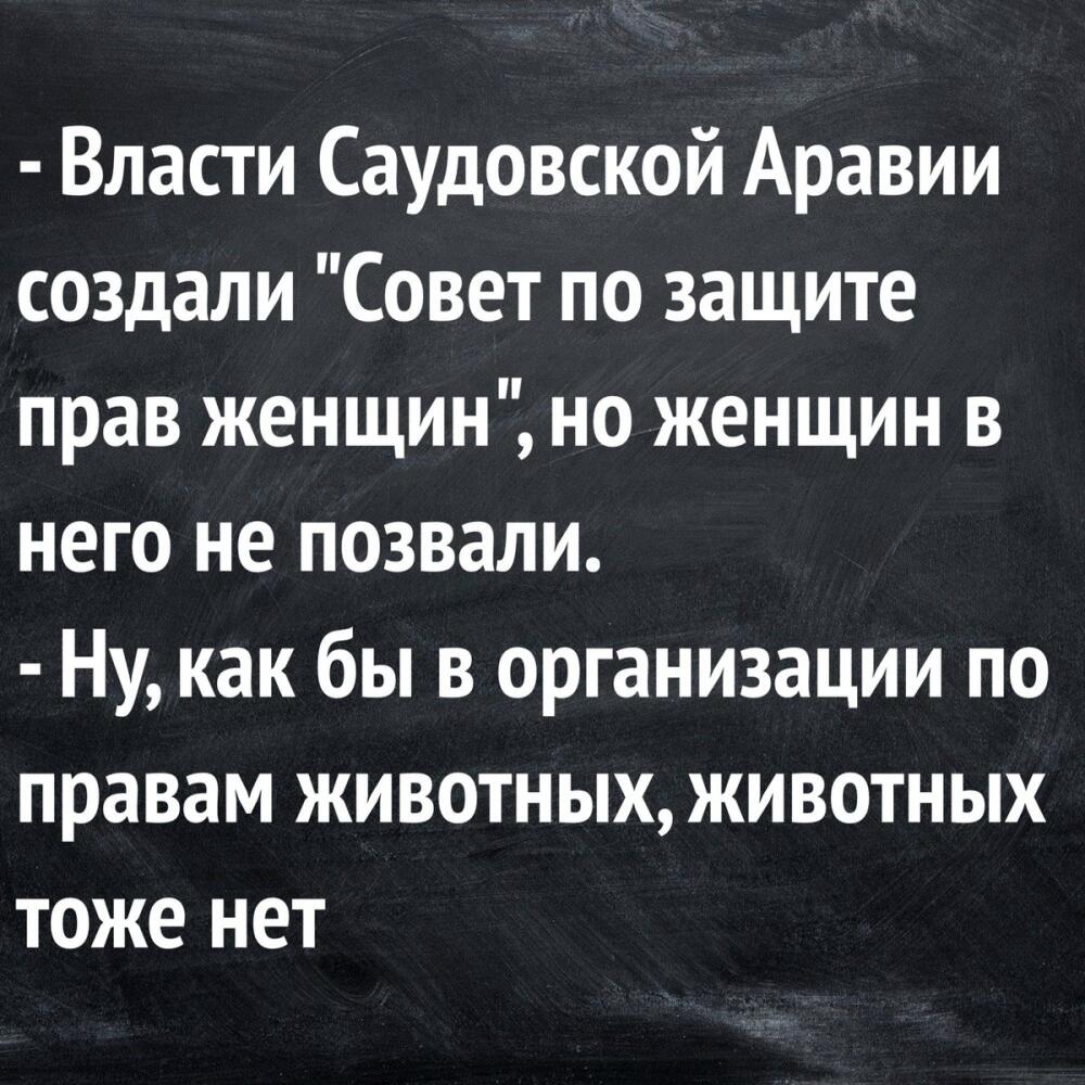 DeWoOulV0AARYyZ.jpg.jpeg