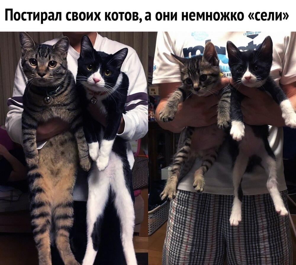 DeYW1nOXkAAtvLH.jpg.jpeg
