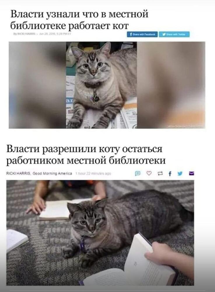 DeYx-dmW4AA1Wn7.jpg.jpeg