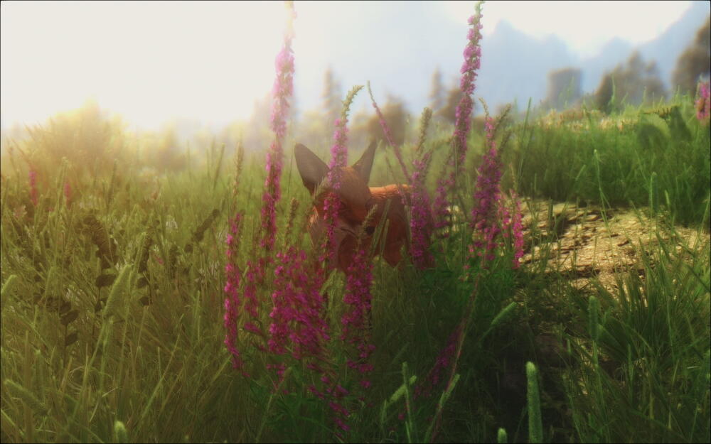 dfec4d08573b.jpg.jpeg
