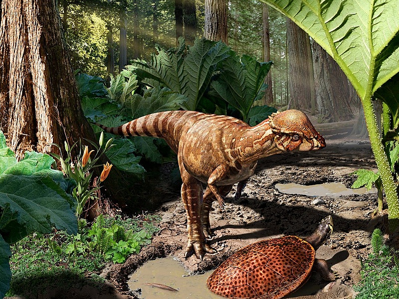dinozavr-i-cherepaha.jpg.jpeg