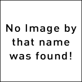 dl-X31F.gif.webp.png