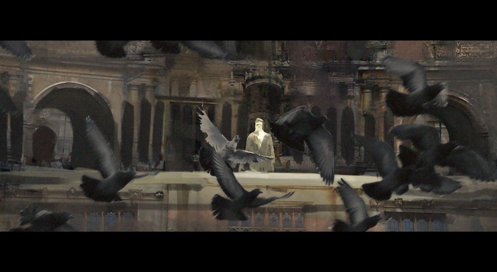 dove_by_parkurtommo-da1wzir.png.webp.png