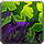 DruidEntanglingRoots.png.png