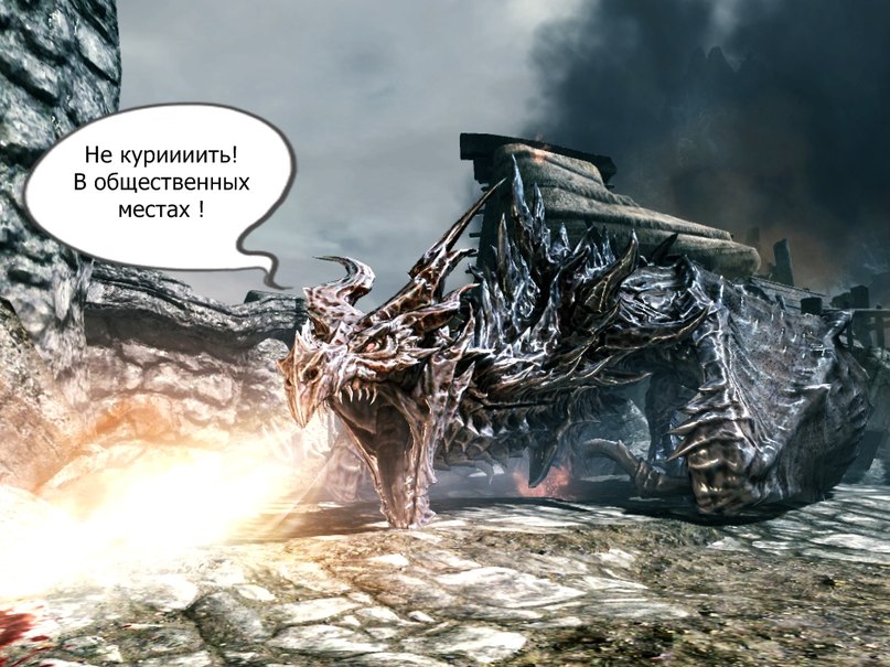dVmozgOCFsI.jpg.jpeg