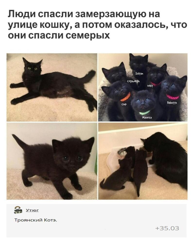DXd3R-YXkAAw3lJ.jpg.jpeg