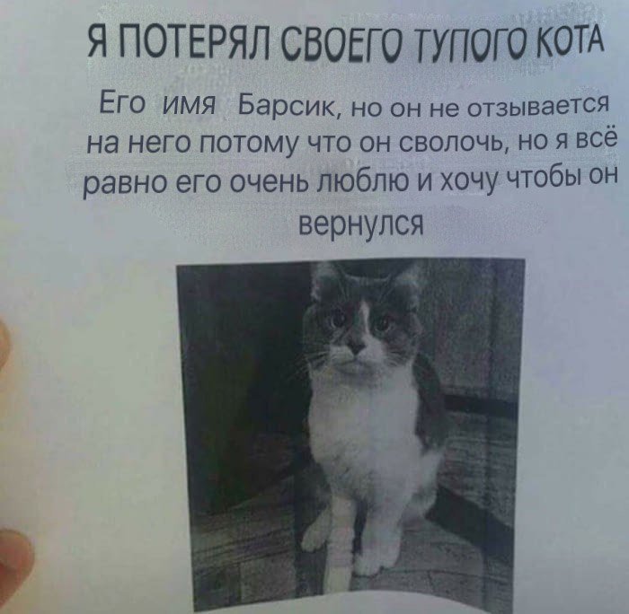 DXOs82IXkAAW3F0.jpg.jpeg