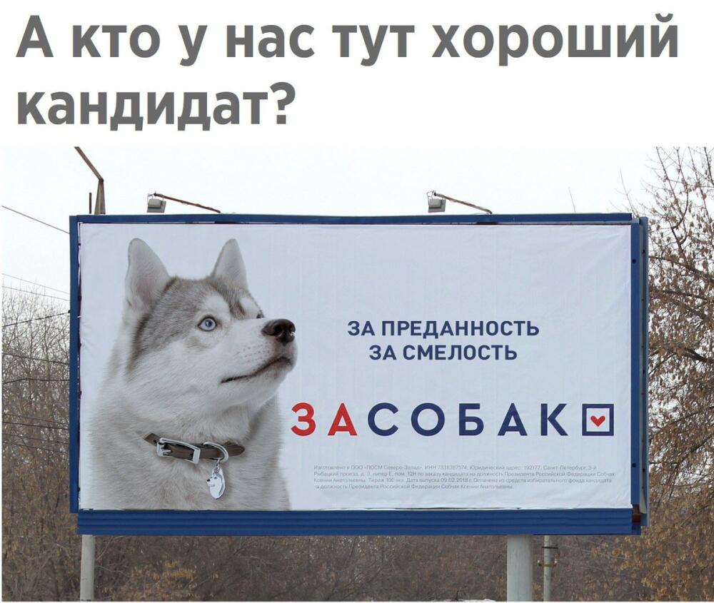 DXT4bn7XUAIEDiM.jpg.jpeg