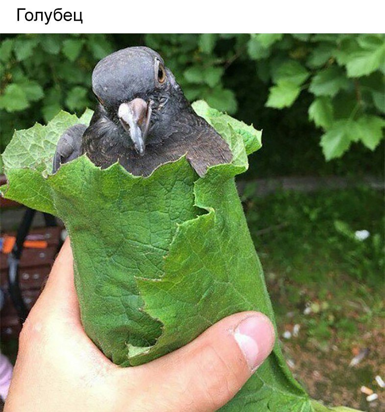 DY0qxtmXkAArX2_.jpg.jpeg