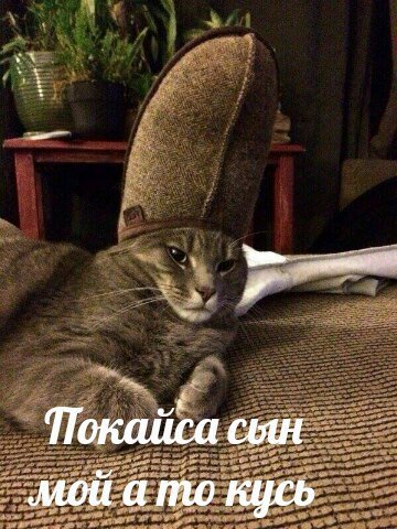 DYfjOEMW0AAWdQM.jpg.jpeg