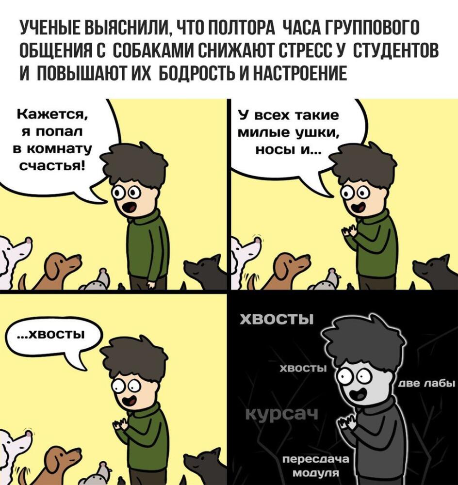 DYJ5NrcUQAAuwyg.jpg.jpeg
