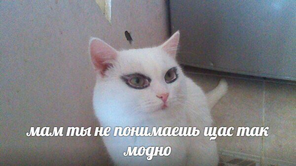 DYO8_NIWAAEBKoo.jpg.jpeg