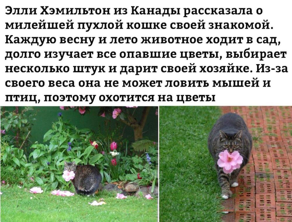 DYUiJV1XkAEA3dn.jpg.jpeg