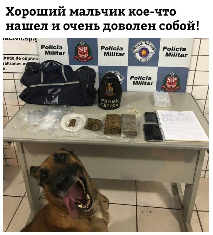 DZEcAbaX0AE-VMp.jpg.jpeg