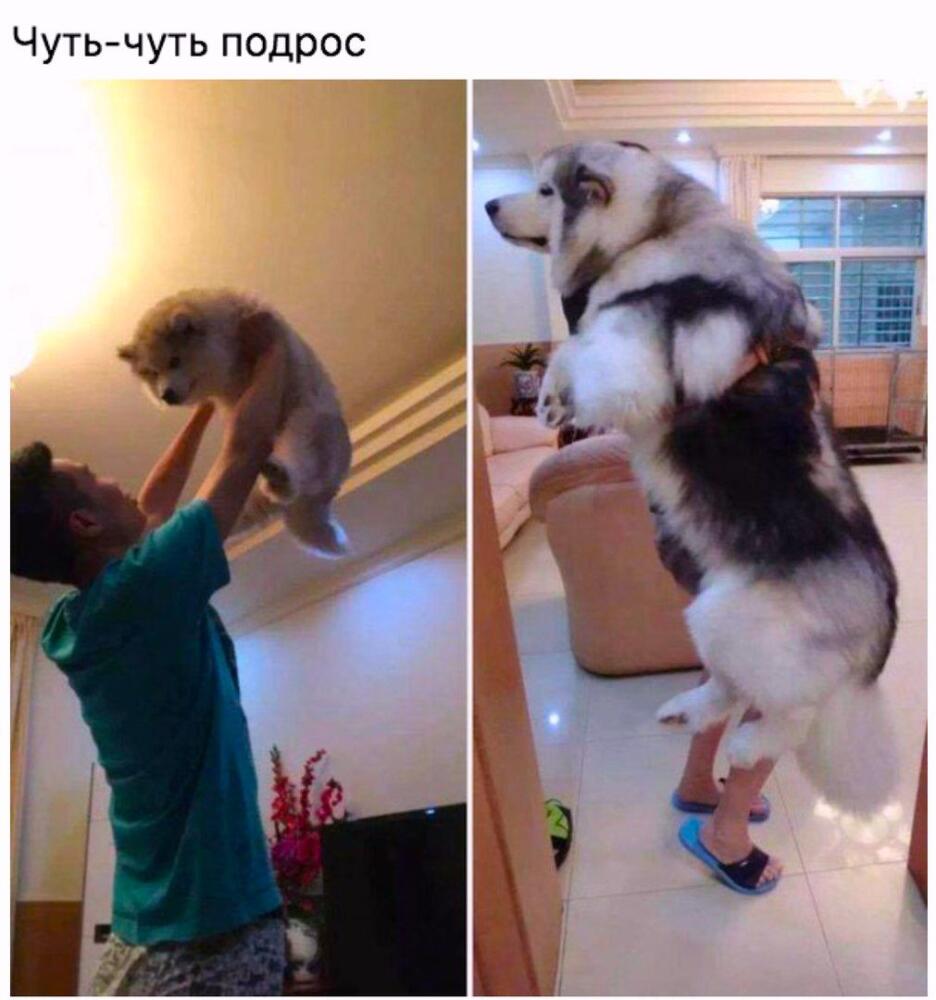 DZEXbfzV4AAqZjt.jpg.jpeg