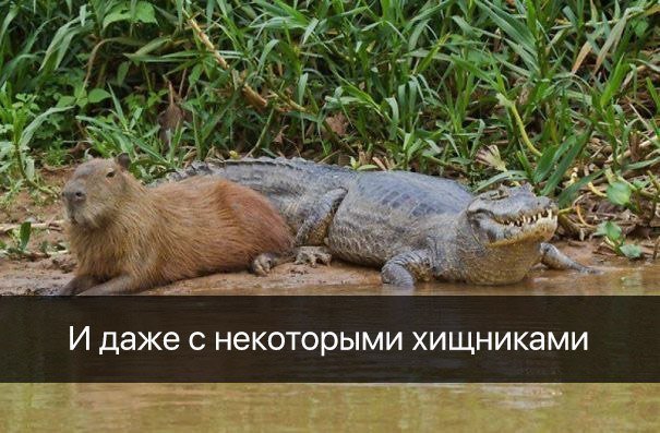 DZXTogkW4AAgqzg.jpg.jpeg