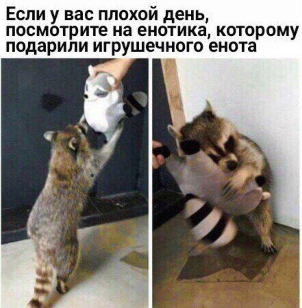 DZXtw74X4AETylW.jpg.jpeg