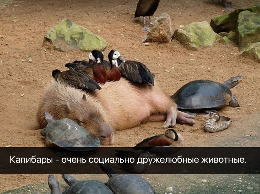 DZXTZrFWkAEJ6IT.jpg.jpeg